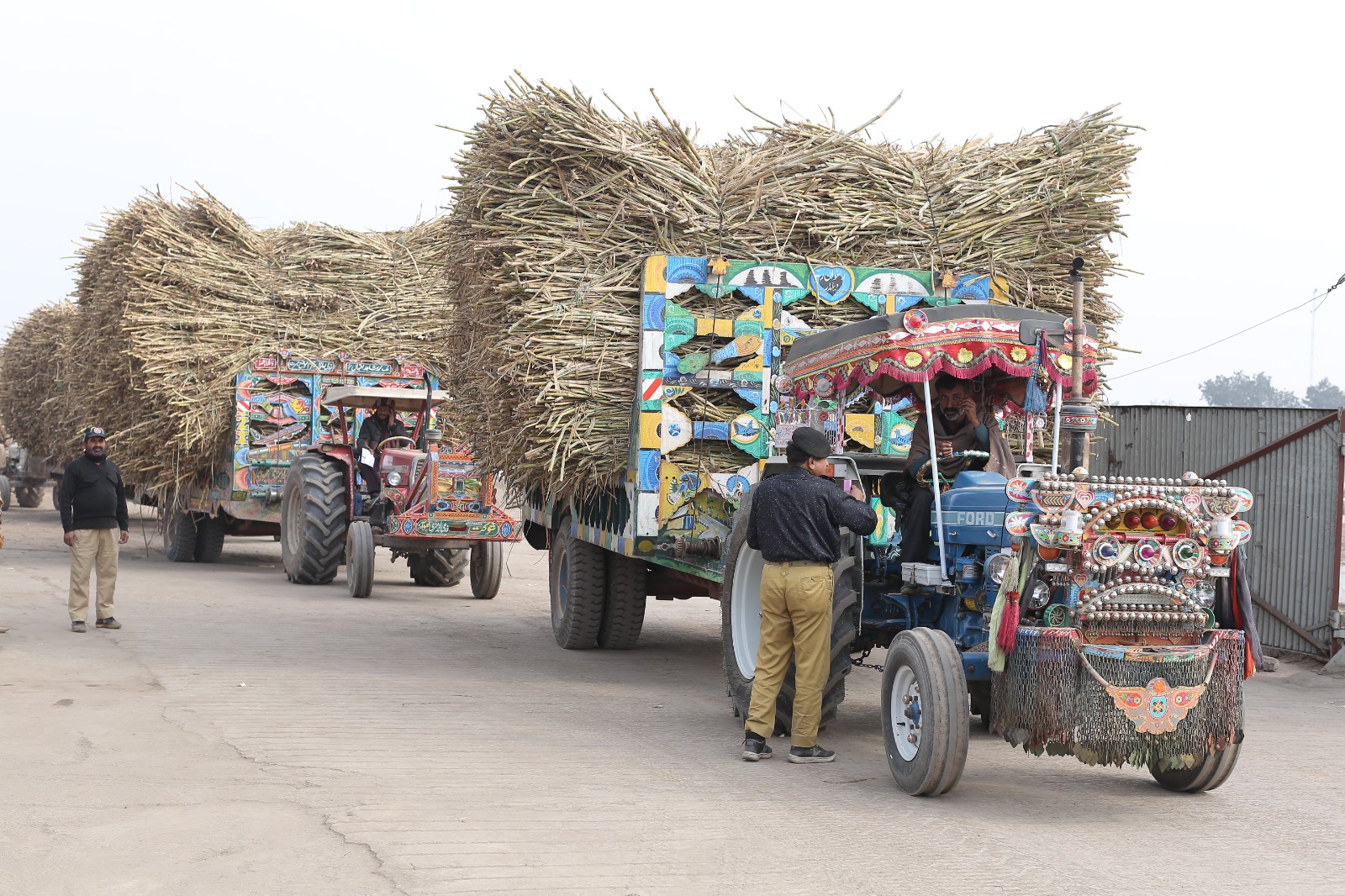 Harvesting and Extraction